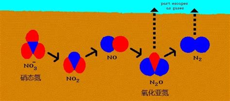 氮气和一氧化氮是可逆反应